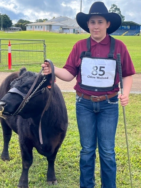 cattle-club-1.jpg